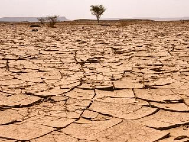 Emprendimiento verde en África