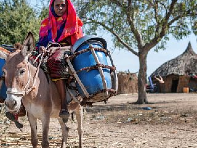 Libro «Historia de Somalia»