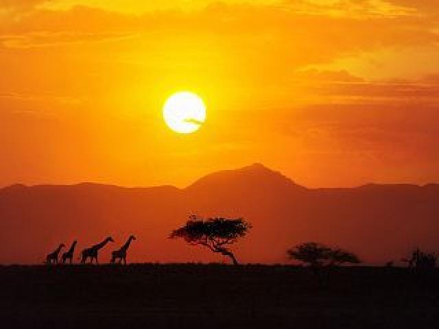 Innovation 4 Africa