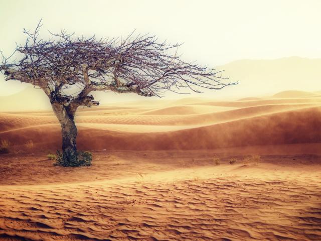 El cambio climático en el Sahel
