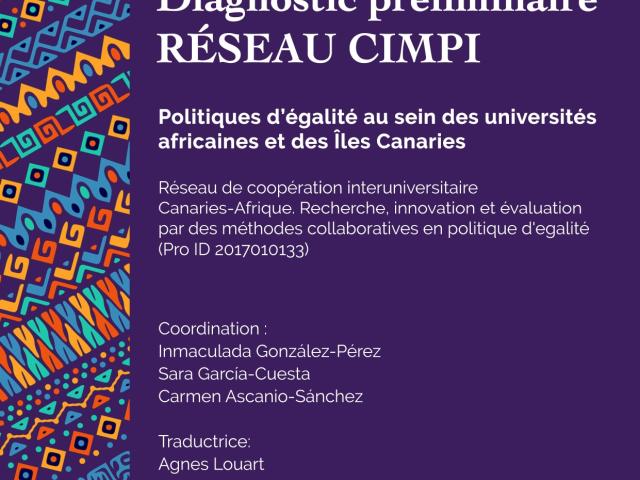 Diagnostic préliminaire RÉSEAU CIMPI