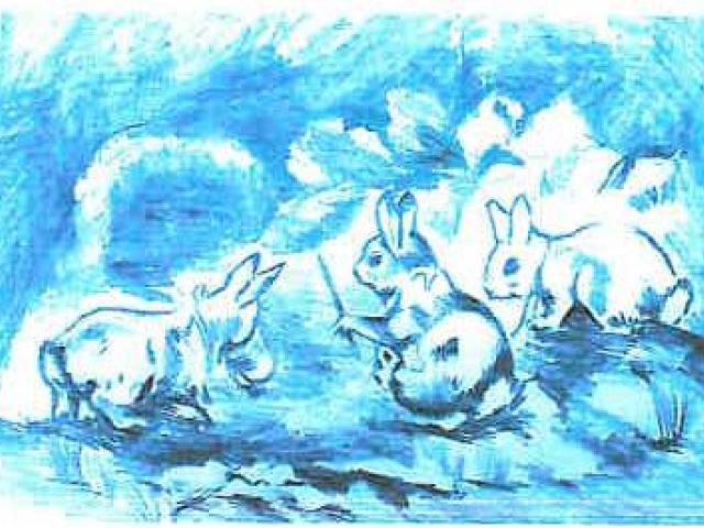 Cuento
