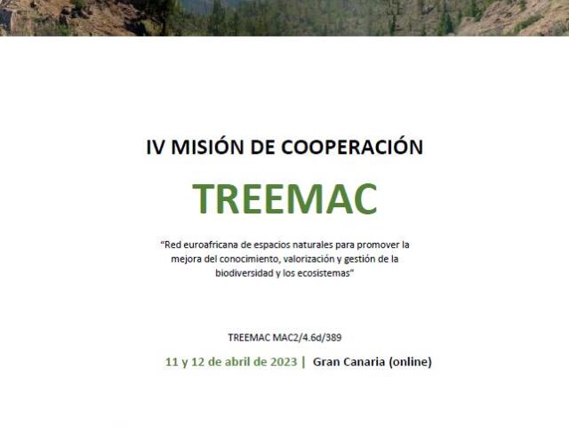 Programa IV Misión de Cooperación Treemac