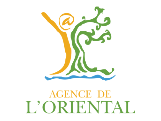 Agencia de Promoción del Desarrollo Económico y Social de Marruecos Oriental