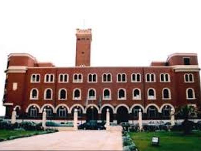 Universidad de Alejandría