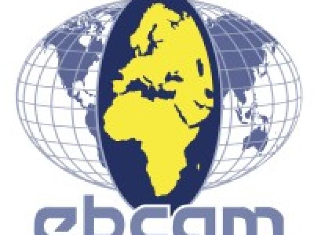 Consejo Empresarial Europeo para África