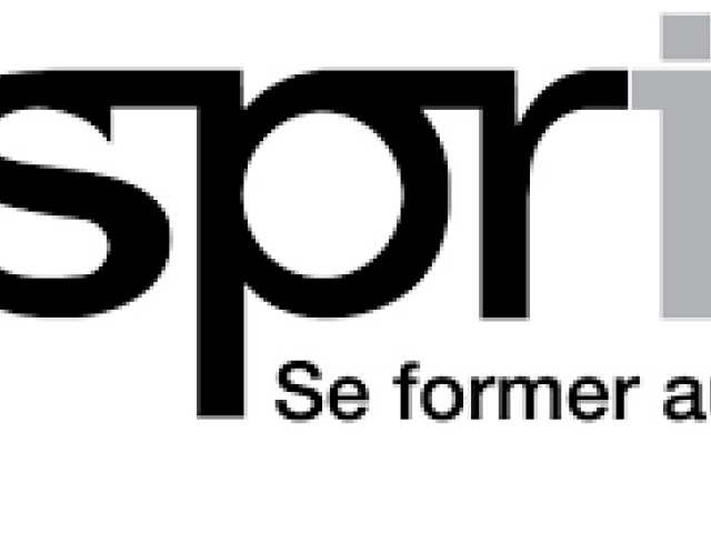 École Supérieure Privée d'Ingénierie et de Technologie
