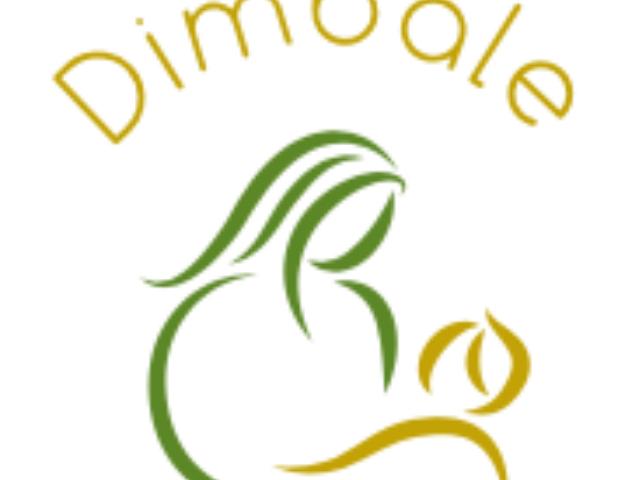 ONG Dimbale