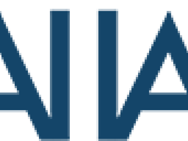 SAIIA (The South African Institute of International Affairs)