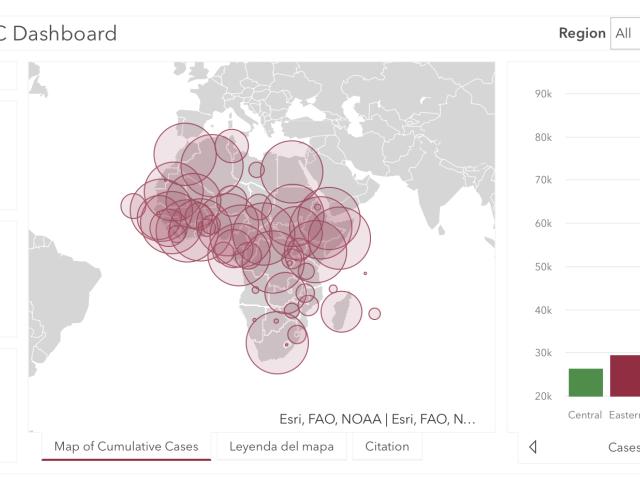 #ÁfricaEsNoticia | Seguimiento especial | COVID19 en África