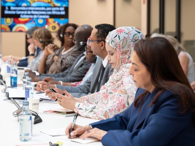 XV Consejo Diplomático de Casa África