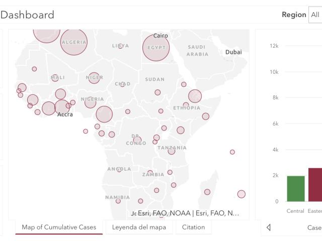 #ÁfricaEsNoticia | Seguimiento especial | COVID19 en África