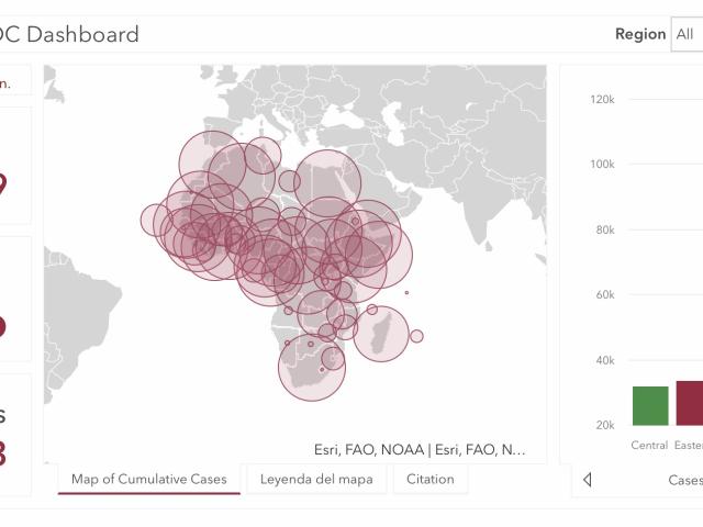 #ÁfricaEsNoticia | Seguimiento especial | COVID19 en África