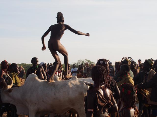 Salto del Toro, Tribu de los Hamer, en Berconech Asile, cerca de Turmi
