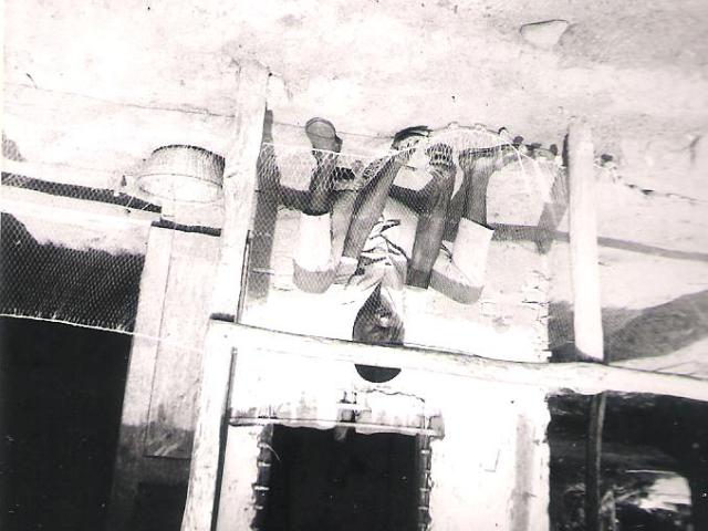 5.1. Anexo 15 foto n.º 06. mvunda. filets
