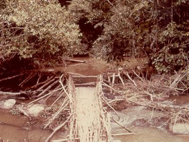 5.1. Anexo nº 15, foto 11. piège pêche rivière olam
