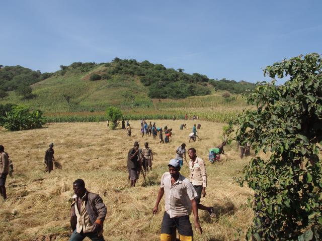 Camino a Konso