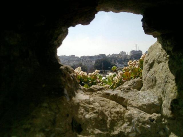 "atalaya"