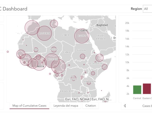 #ÁfricaEsNoticia | Seguimiento especial | COVID19 en África