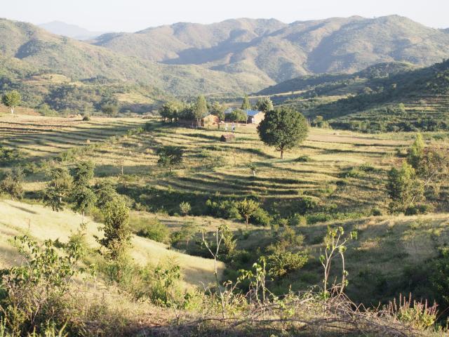 Camino a Konso