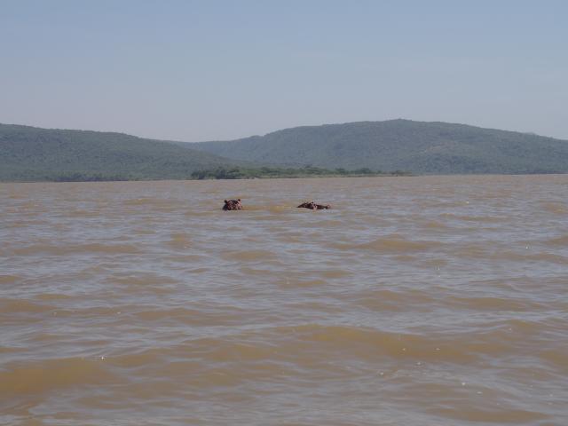 Lago Chamo