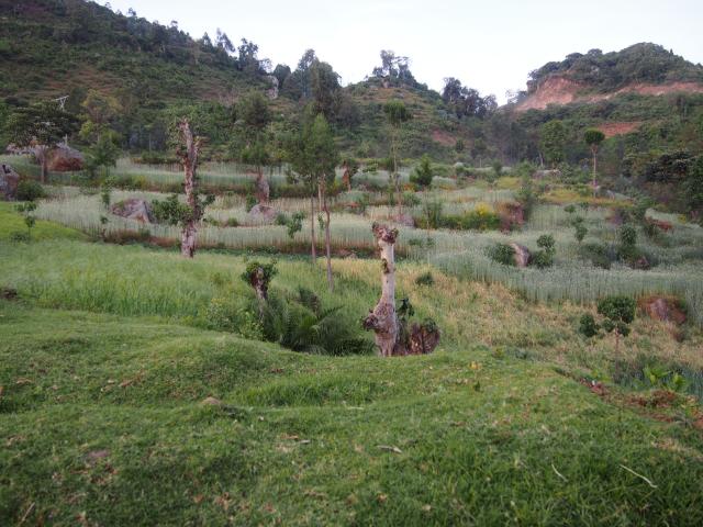 Región de los Dorze, cerca del lago Abaya