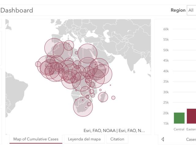 #ÁfricaEsNoticia | Seguimiento especial | COVID19 en África