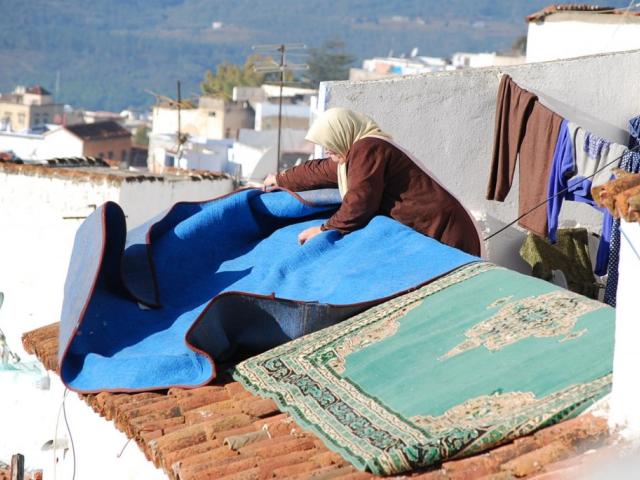 Alfombra azul