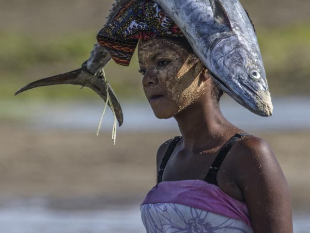 Con la pesca del día ©JULIO SACRISTAN PEREZ