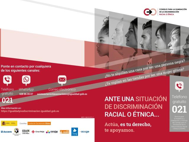 Consejo para la eliminación de la discriminación racial o étnica