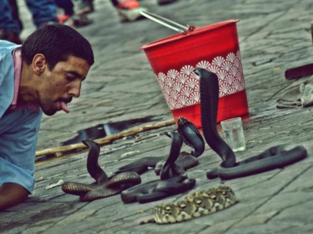 Encantador