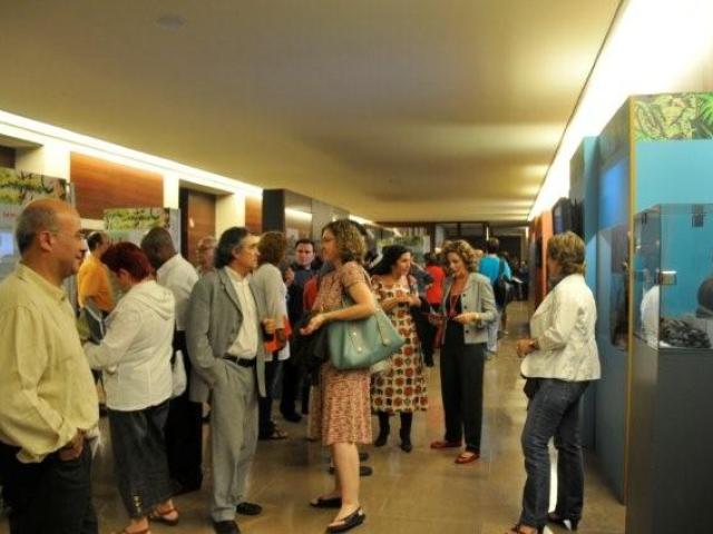 Casa África lleva a L’Auditori de Barcelona los instrumentos y las danzas ecuatoguineanas