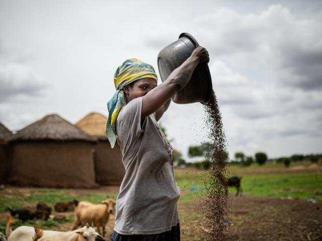 Ganas de comer: Ghana sin hambre