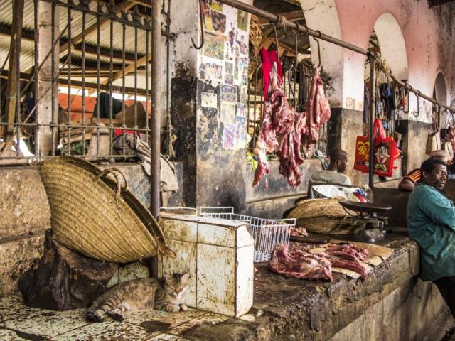 Gato en el mercado de carne