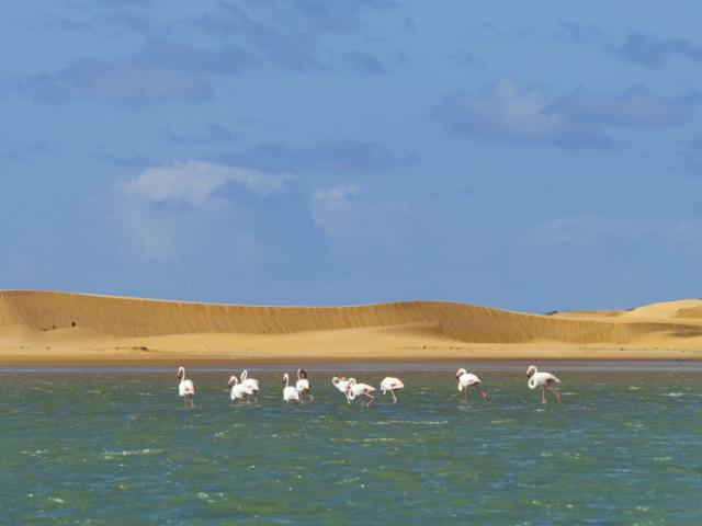 Laguna de naila