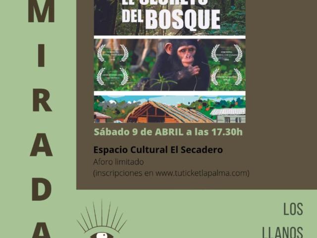 Miradas Perifericas_Guinea Ecuatorial 9abr17