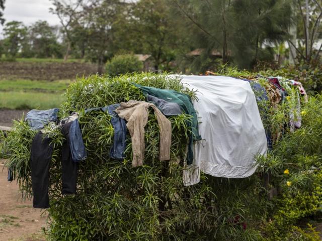 Natural dryer