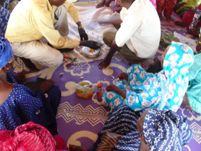 Panafricanistas