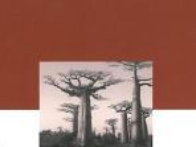 Democracia y buen gobierno en África Subsahariana