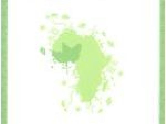 Energías Renovables en África Occidental. Estado, experiencias y tendencias