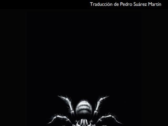 La tela negra