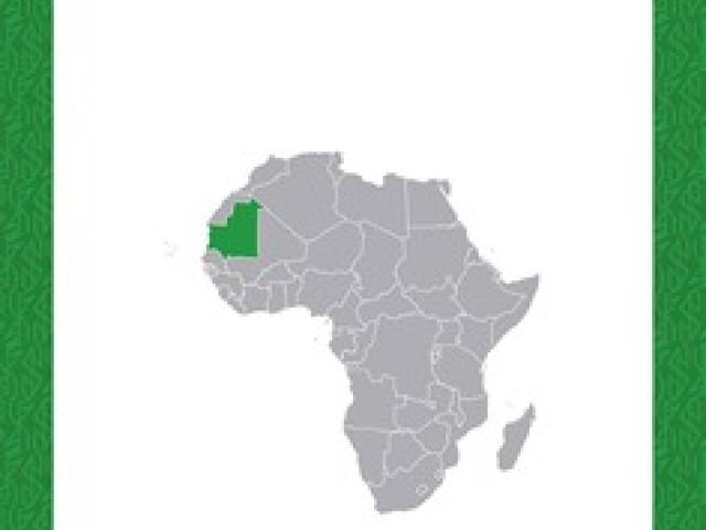 Mauritania. Una economía en transformación