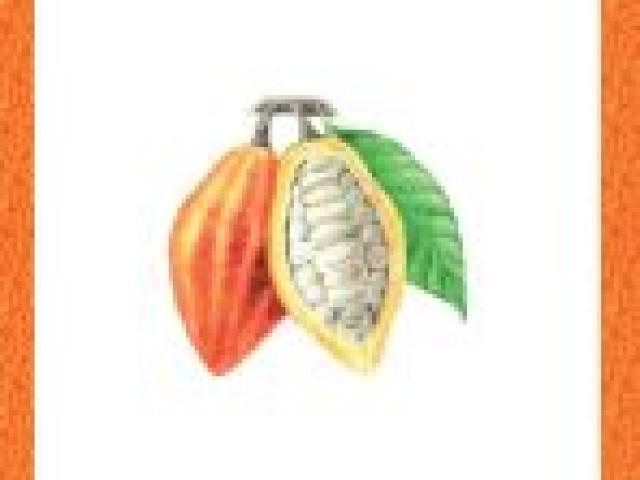 X Edición: Un grano de cacao. Perspectivas y futuro de la agricultura africana.
