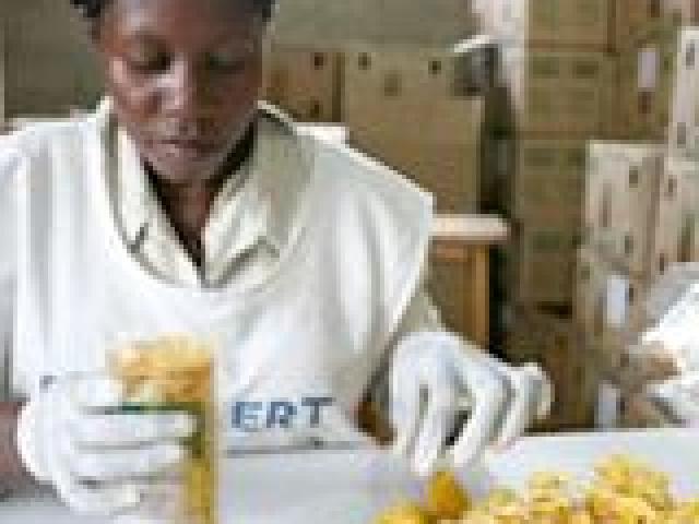 Conferencia de alto nivel sobre el desarrollo de la agroindustria en África