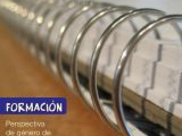 Formación: Curso Introductorio "Perspectivas de género de lo global a lo local"