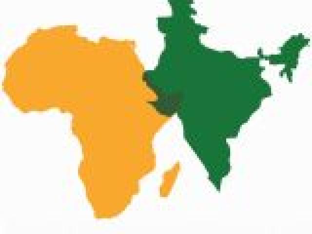 Seminario "India en África: una presencia revitalizada en el siglo XXI"