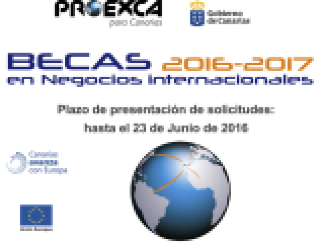 Becas en Negocios Internacionales 2016 -2017