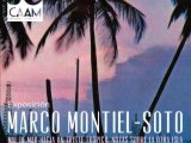 Exposición: Mal de mar hacia un triste trópico. Notas sobre la otra isla