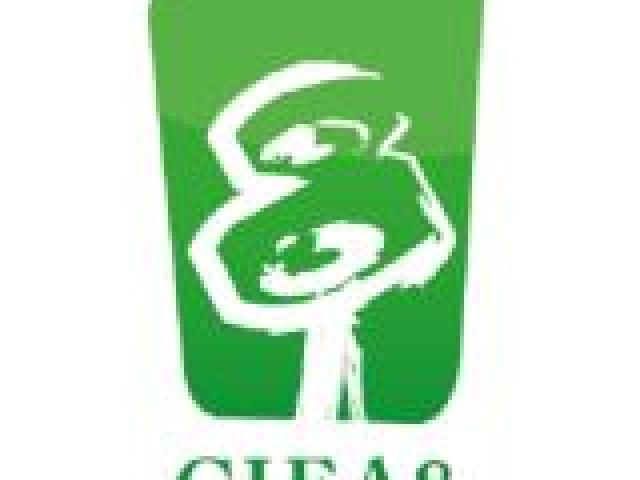 CIEA8: VIII Congreso Ibérico de Estudios Africanos