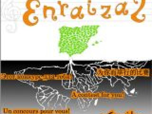 Concurso Musical Enraiza2